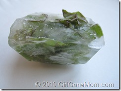 How to freeze garden fresh basil